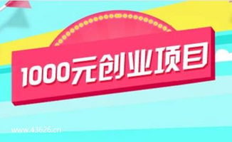 1000元?jiǎng)?chuàng)業(yè)項(xiàng)目 2019年1000元?jiǎng)?chuàng)業(yè)投資做什么好
